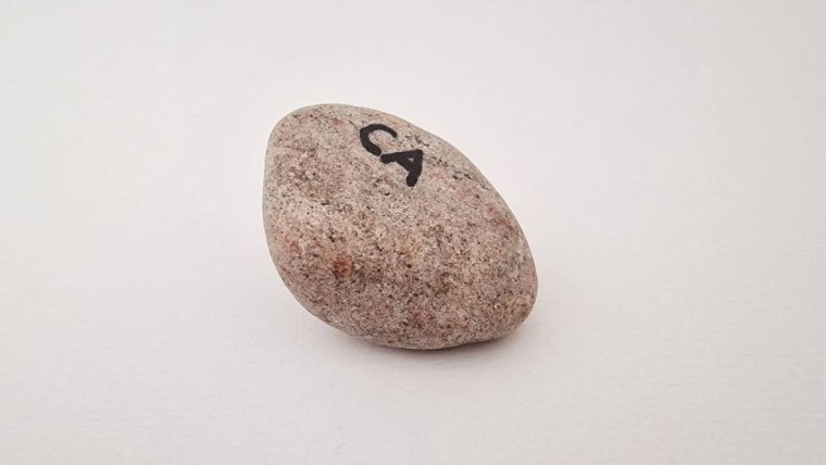 Carmen - Canada 2026