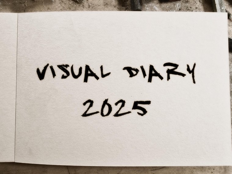 visual diary 2025